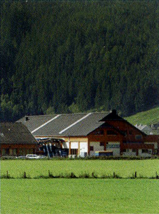 Zweigwerk in St. Michael (Österreich)